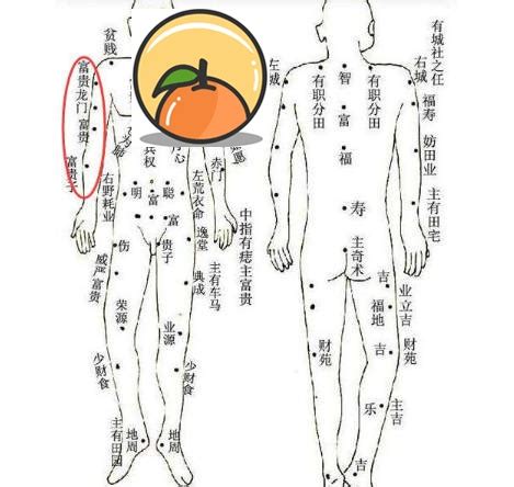 左臂有痣|痣的位置与命运：手臂上有痣代表什么寓意